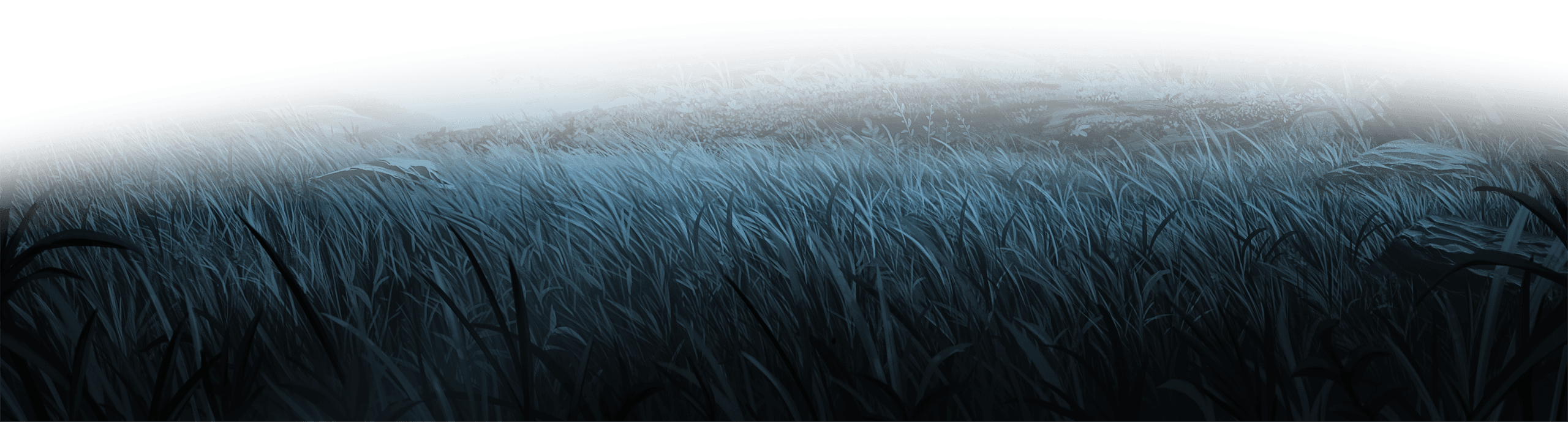 Forest background